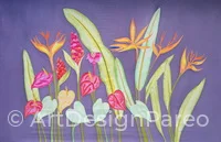 Tropical Daun