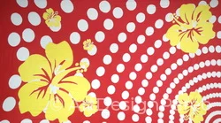 Aisa Dot