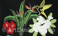 Colibri